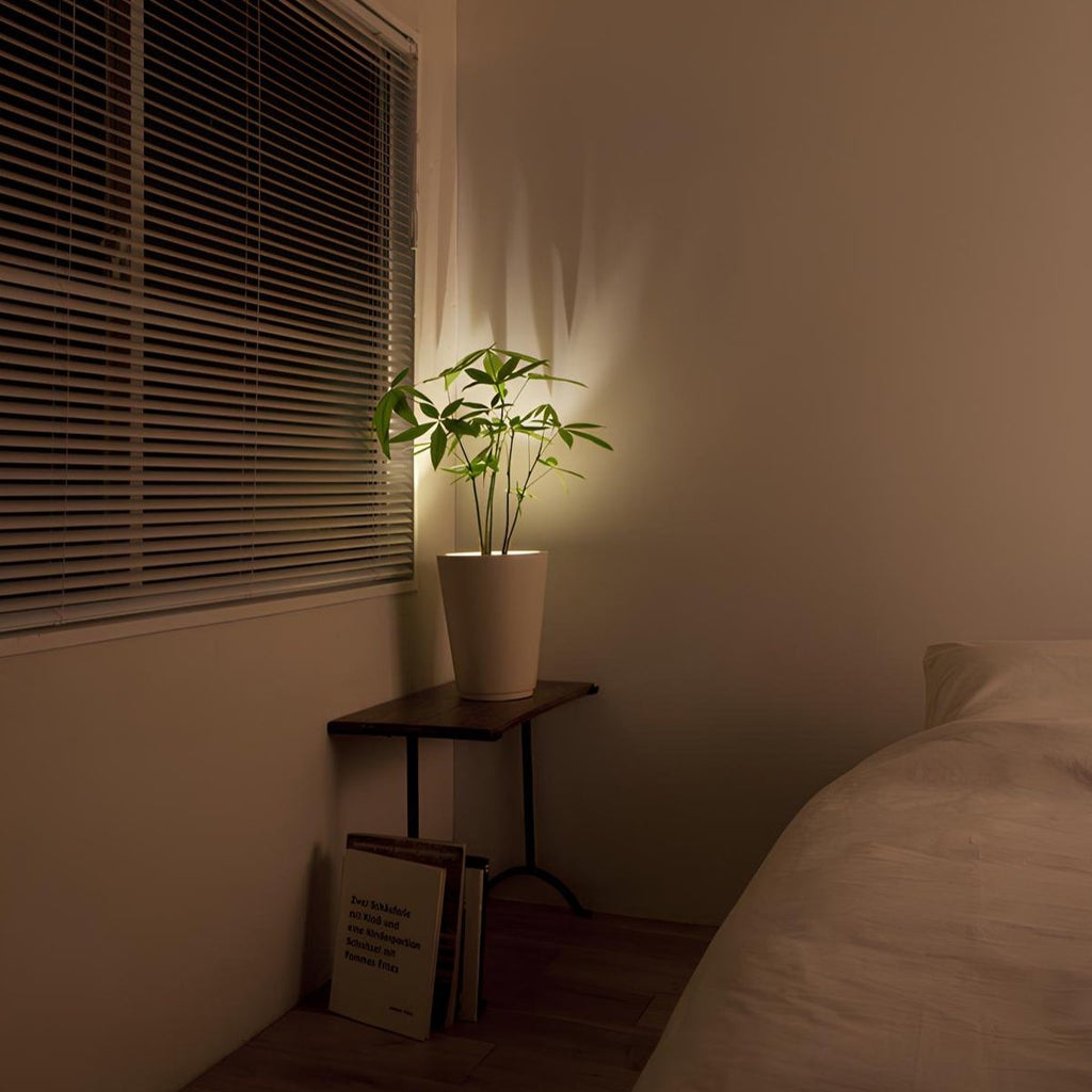 LED Wall Light Adjustable Battery Spotlight