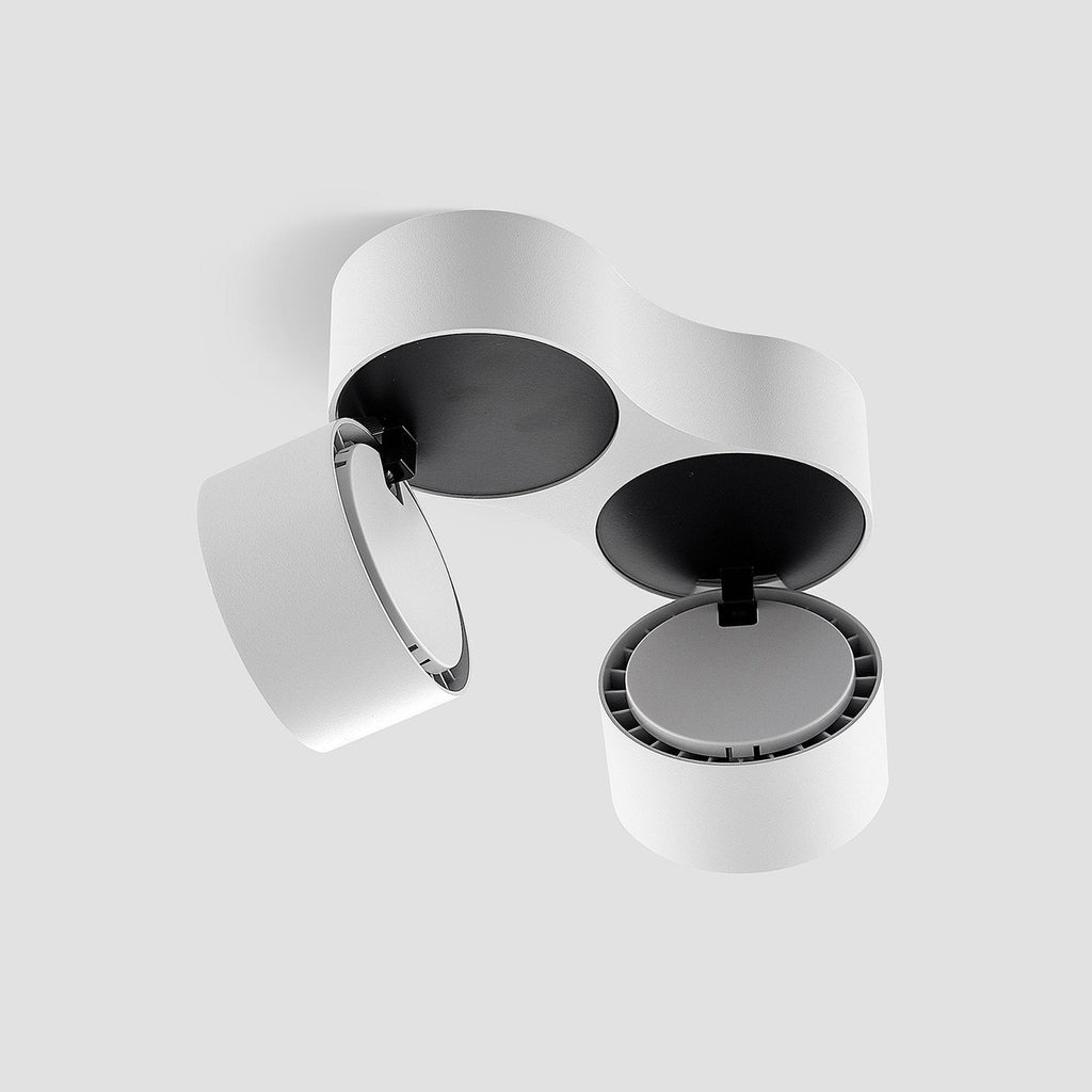 Ceiling Light with Dual Adjustable Spotlights