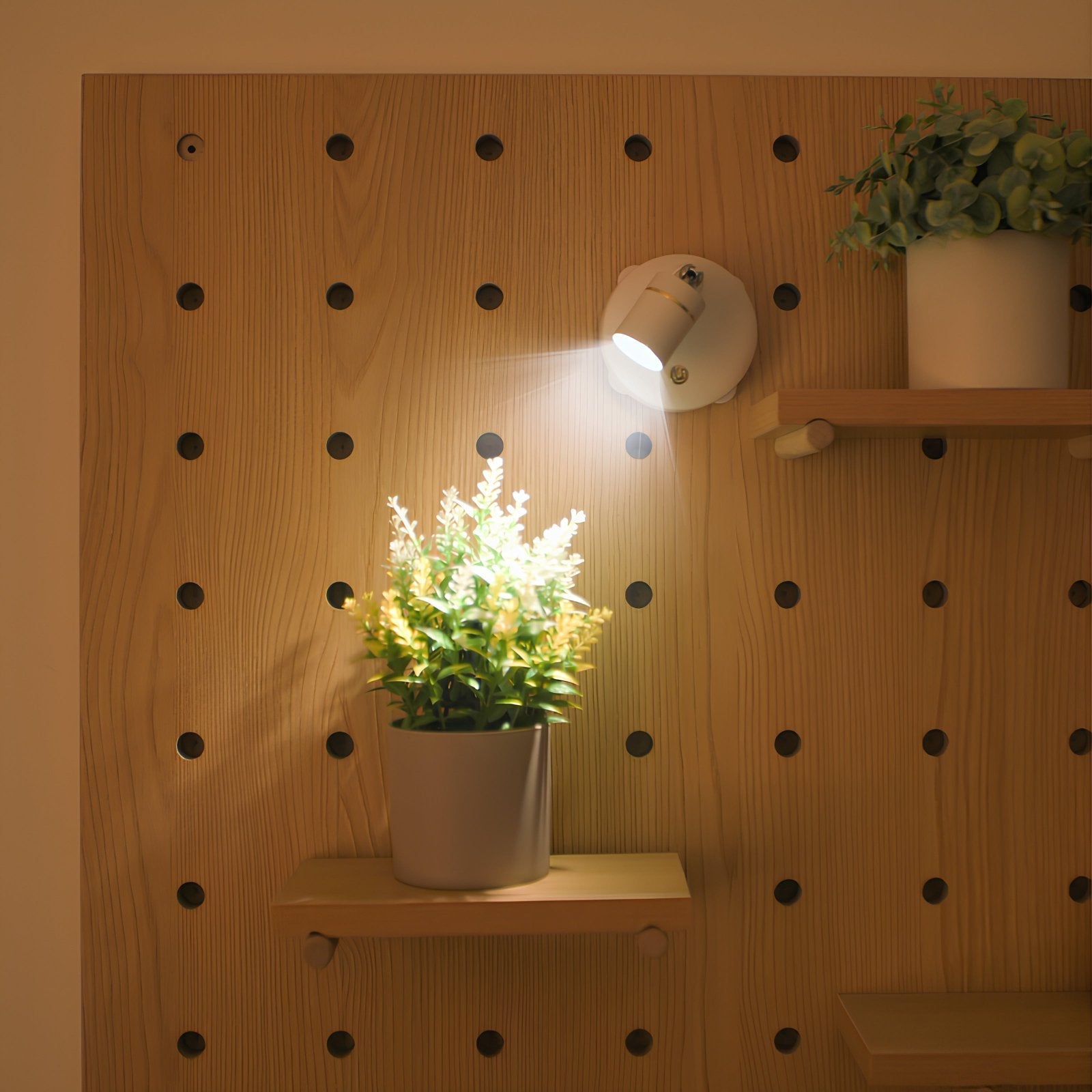 LED Wall Light Adjustable Battery Spotlight