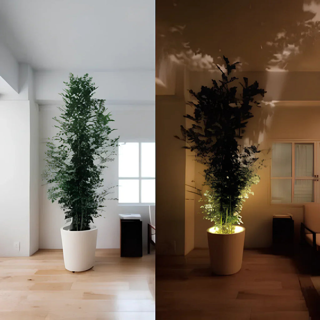 LED Wall Light Adjustable Battery Spotlight