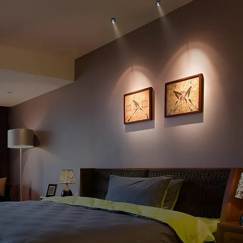 LED Wall Light Adjustable Battery Spotlight